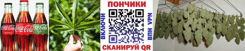 Canna-Cookies марихуана  omg ссылки  Орехово-Зуево  купить наркотики сайты 