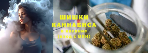 2c-b Рославль